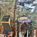 초록공원 이미지