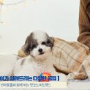 수제산업동물병원 이미지