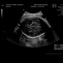 (주)광복유지 이미지