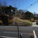 안내보은로 이미지