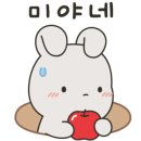 자라호텔 이미지