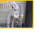 부산광역시 남구청 이미지