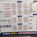 동궁횟집 네이버블로그