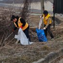 재난대응봉사회, '환경정화' 활동 이미지