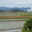 전두간척지 이미지