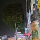 동서상회 이미지