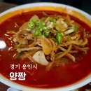 양짬 | 용인 양지 짬뽕 양지톨게이트 근처 양짬 짜장면 양짬뽕 미니 탕수육 후기