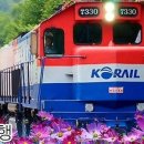 해피버스클럽여행사 이미지