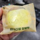순떠기 - 41564 | 순떠기
