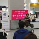 강명주애견미용학원 네이버블로그