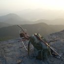 우크&기타 이미지