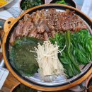 녹색흑염소 이미지