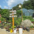 보화다원 이미지