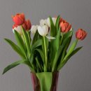 세훈약국 이미지