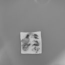 문정탑 동물병원 이미지