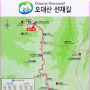 10월 14일(토) 100대명산/오대산 명품 숲길~~/ 고즈녁한 천년 숲 선재길 단풍 트래킹/조중식(찰밥)제공/♡38,000원. 이미지