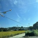 영인면사무소 | [아산] 9로평상 곽희수건축가의 아산 영인면 카페 ’아레피(Aleffee)’