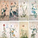 강릉 이야기 이미지