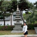 시외버스 산성정류소 | 충남 부여 가볼만한곳 국립 부여박물관 부소산성 낙화암 유람선