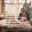 [공지] 노원 의정부 벨리니플라워 플라워클래스 플라워레슨 모집