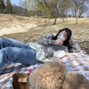 경아네민박 이미지