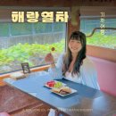 해랑열차 7월 예약 오픈! 국내 럭셔리 기차여행 가격 및 후기