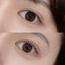 브로우돌 | 눈매•니즈에 맞추어 자연스러운 속눈썹 펌을 해주는 의정부 브로우돌 후기👁️👁️