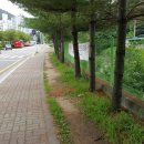 안양한증원 | 병목안 산책/ 계곡길따라 수리산성지까지:)