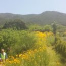 하사여성경로당 이미지