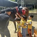 남초병설유치원 이미지