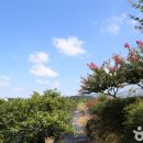 두루팜