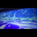 윌리코키 Daum카페