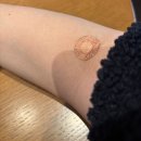 몽키36 | 송파고은빛산부인과 36주 막달검사 항목 총정리 소요시간 솔직후기