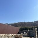 포마자동차디자인미술관 | 일산 아이와 가볼만한곳 FOMA 포마 자동차디자인미술관 방문