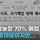 병양농장 이미지