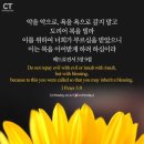 영성기획