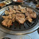 오동오동  애견미용실 이미지