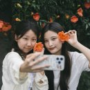 강릉우정스냅 추천 | 친구와 여행의 순간을 기록하는 야외우정스냅 후기