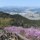 천주산 만남의 광장 이미지