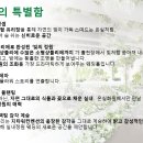 대경인텔리전트