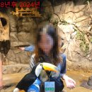 (주)이랜드크루즈 이미지