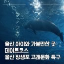 고래천국 | 울산 아이와 가볼만한 곳 &amp; 이색 데이트 코스 추천 | 고래박물관부터 울산함까지 알짜 후기