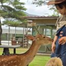 에코팜농장 이미지