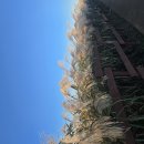 미리보는 사주팔자 이미지