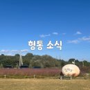 법률사무소형통