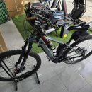 리본(Reborn) 이미지