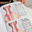 흥덕2로 87번길2L | [용인흥덕] 용인흥덕 전신관리, 용인흥덕 후면관리 - 준 소통테라피