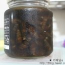 보배제과 이미지