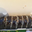 마루김밥커피