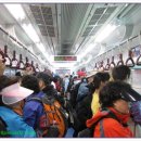 정자동 소로12 | 양평 청계산 산행(2010.04.25)